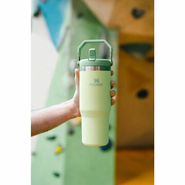 Stanley The IceFlow Flip Straw Pipetli Termos Bardak 0,89 LT Açık Yeşil