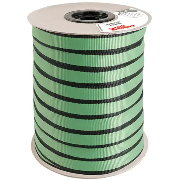 Rock Empire Webbing on a Bobbin PA 25 mm Perlon Bant Kolon 100 m Yeşil