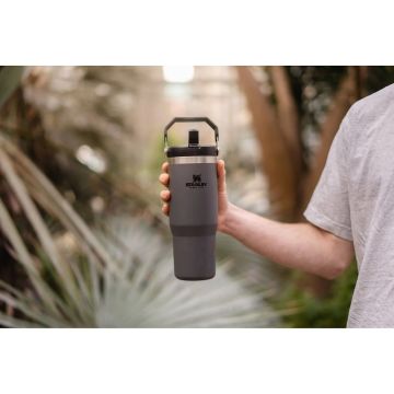 Stanley The IceFlow Flip Straw Pipetli Termos Bardak 0,89 LT Füme