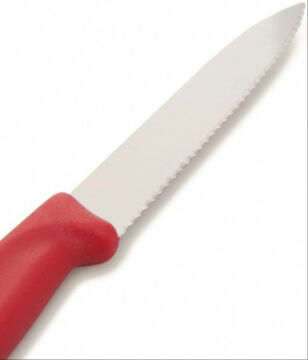 Victorinox 6.7731 SwissClassic 10cm Tırtıklı Soyma Bıçağı