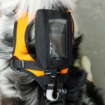 KONG Haria Arama Kurtarma Köpekleri İçin Koşum Emniyet Kemeri (Gps Çantalı Versiyon)