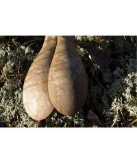 Kupilka Spork 205 2li Çatal Kaşık Kırmızı
