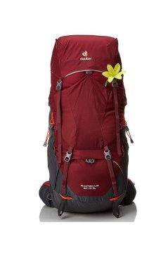 DEUTER Aircontact Lite 60 + 10 SL Sırt Çantası maron-graphite