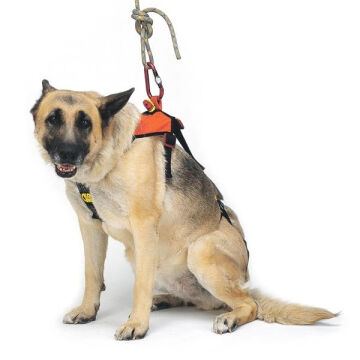 Kong Smeus 2 Parçalı Kurtarma Köpeği Taşıma ve Kurtarma Kemeri 844010000KK