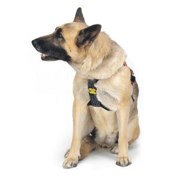Kong Smeus 2 Parçalı Kurtarma Köpeği Taşıma ve Kurtarma Kemeri 844010000KK