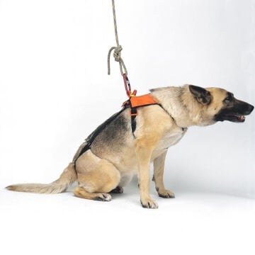 Kong Smeus 2 Parçalı Kurtarma Köpeği Taşıma ve Kurtarma Kemeri 844010000KK
