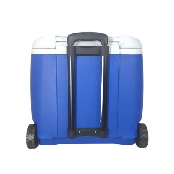 Freeze Peak Eco Cool 40 QT Soğutucu Buzluk 38 Litre