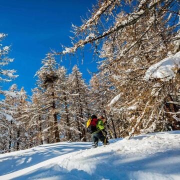 Grivel Monterosa Kar Hediği Size2 SSMROS.2.Y