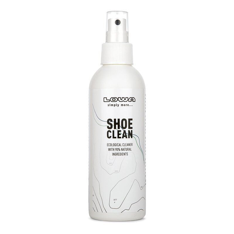 Lowa Shoes Clean