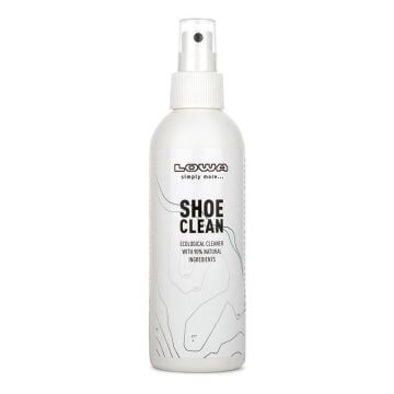 Lowa Shoes Clean