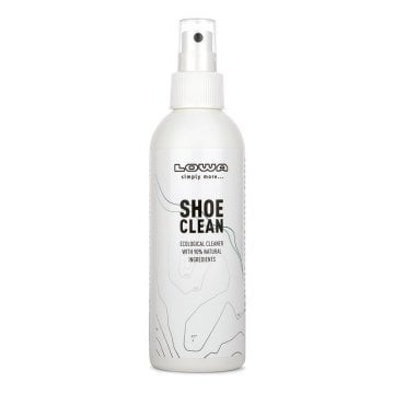 Lowa Shoes Clean