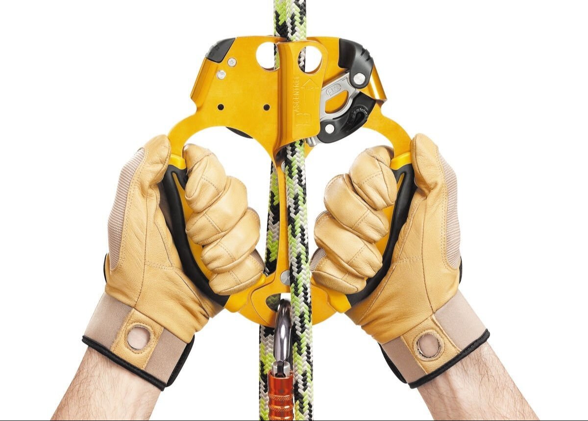 PETZL ASCENTREE Çift El Jumar B19AAA